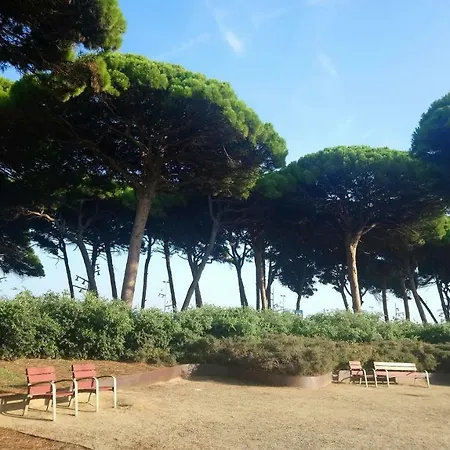 Promar La Pineda